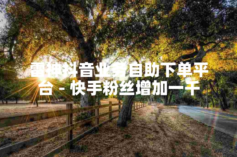 雷神抖音业务自助下单平台 - 快手粉丝增加一千