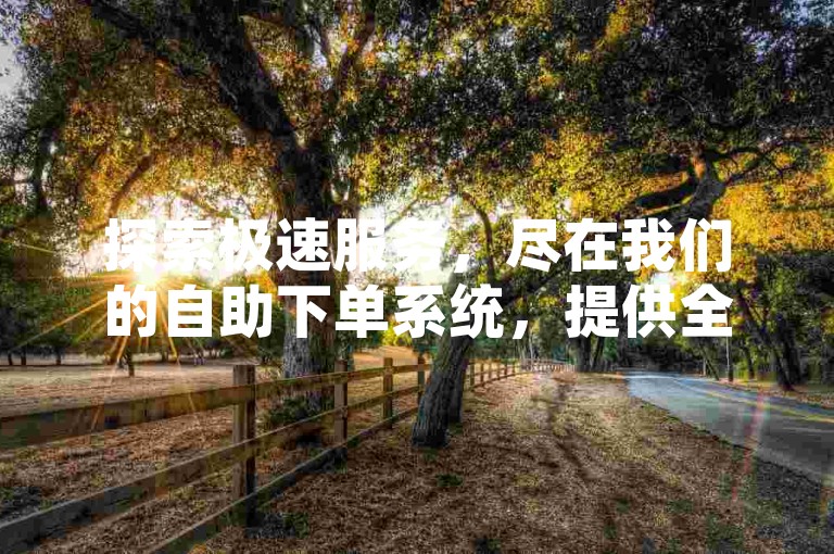 探索极速服务，尽在我们的自助下单系统，提供全网最优惠的价格。