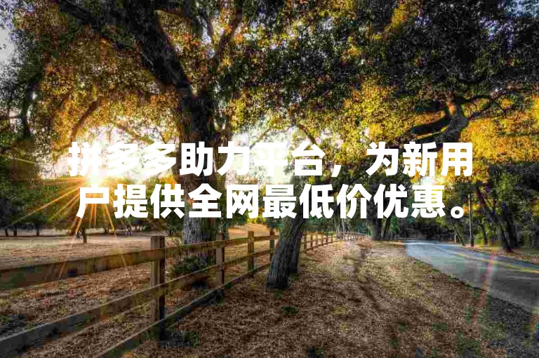 拼多多助力平台，为新用户提供全网最低价优惠。