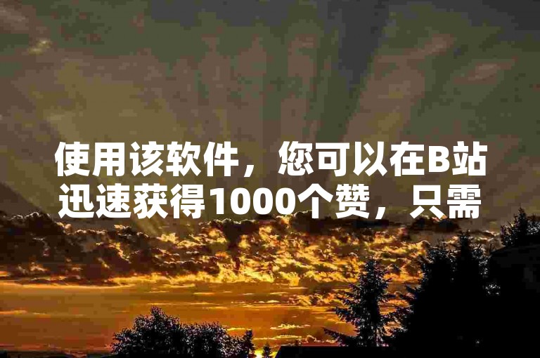 使用该软件，您可以在B站迅速获得1000个赞，只需一元钱。