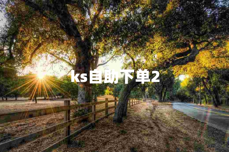 ks自助下单2585054Z空间 - 抖音评论自助下单平台网站低价，提供便捷的服务。