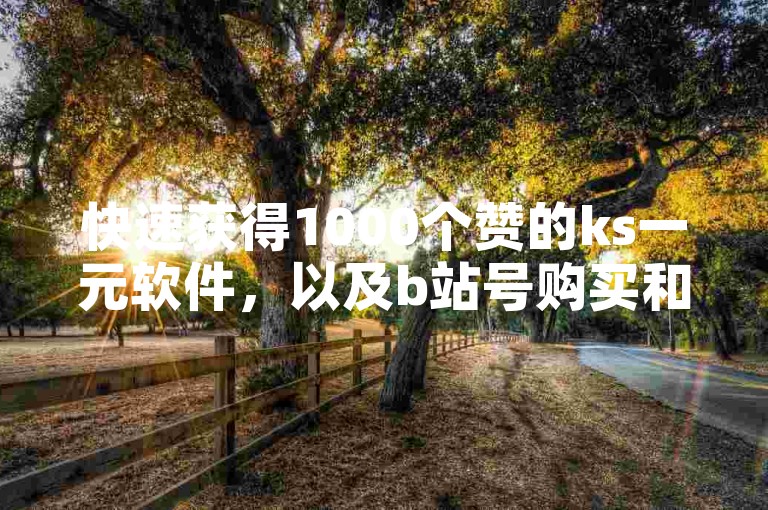 快速获得1000个赞的ks一元软件，以及b站号购买和自动发卡服务。