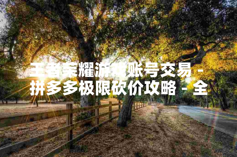 王者荣耀游戏账号交易 - 拼多多极限砍价攻略 - 全网优惠充值平台