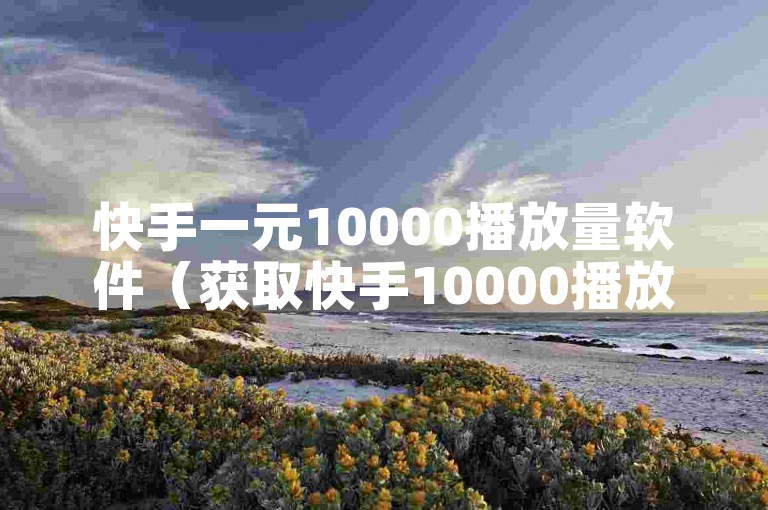 快手一元10000播放量软件（获取快手10000播放量的软件一元神器）