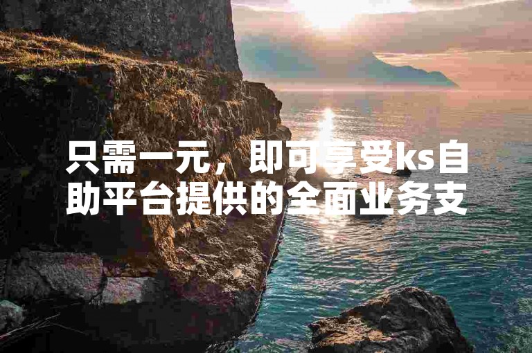 只需一元，即可享受ks自助平台提供的全面业务支持！