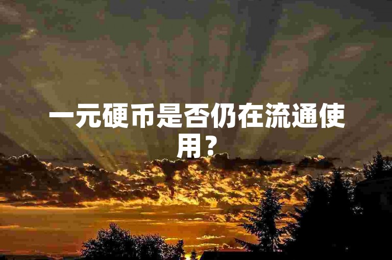 一元硬币是否仍在流通使用？