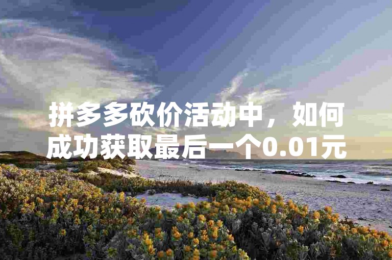 拼多多砍价活动中，如何成功获取最后一个0.01元？pdd砍价技巧