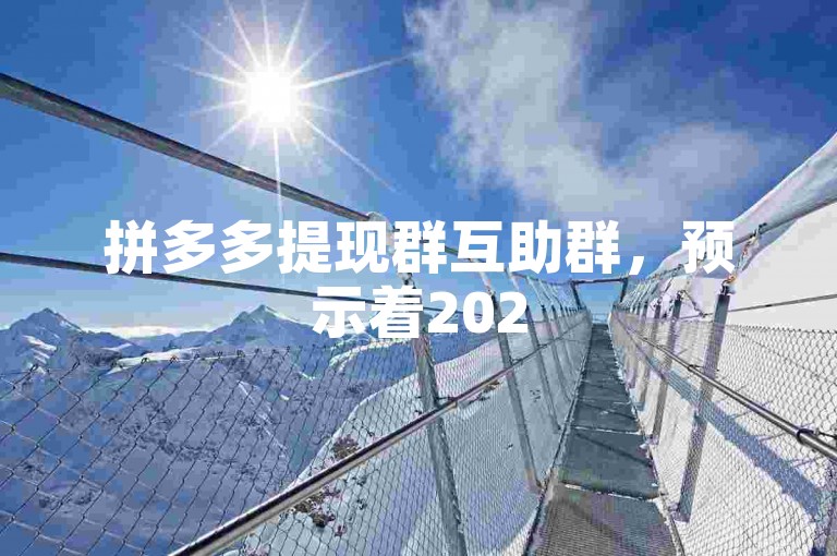 拼多多提现群互助群，预示着2025年社交电商的创新发展趋势。