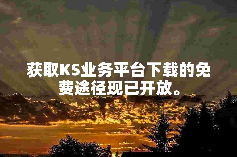 获取KS业务平台下载的免费途径现已开放。