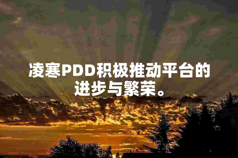 凌寒PDD积极推动平台的进步与繁荣。