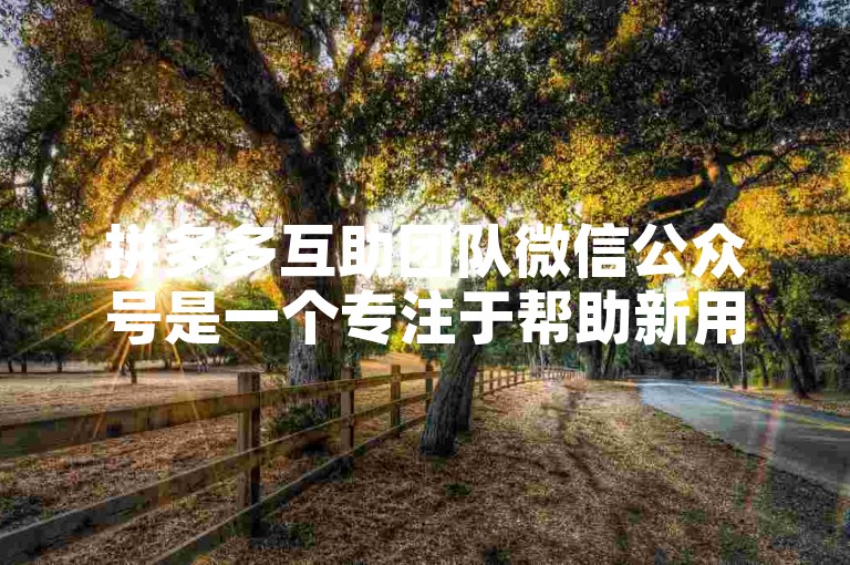 拼多多互助团队微信公众号是一个专注于帮助新用户了解和利用拼多多平台各种优惠活动的社交账号，旨在通过集体的力量实现互助共赢。