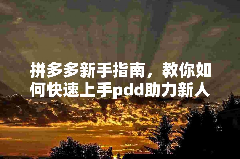 拼多多新手指南，教你如何快速上手pdd助力新人号。