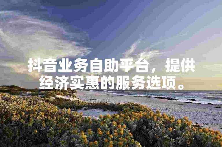 抖音业务自助平台，提供经济实惠的服务选项。