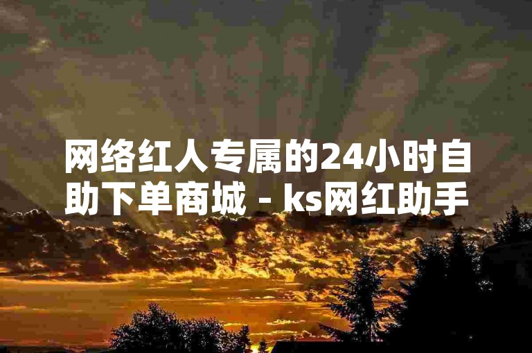 网络红人专属的24小时自助下单商城 - ks网红助手平台，随时为您服务。