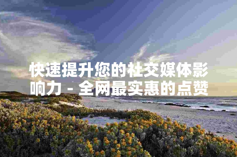 快速提升您的社交媒体影响力 - 全网最实惠的点赞和粉丝服务，让您的内容获得更多关注。