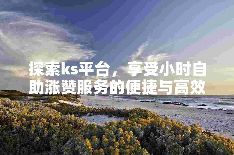 探索ks平台，享受小时自助涨赞服务的便捷与高效，让每一份点赞都成为您作品的亮点。