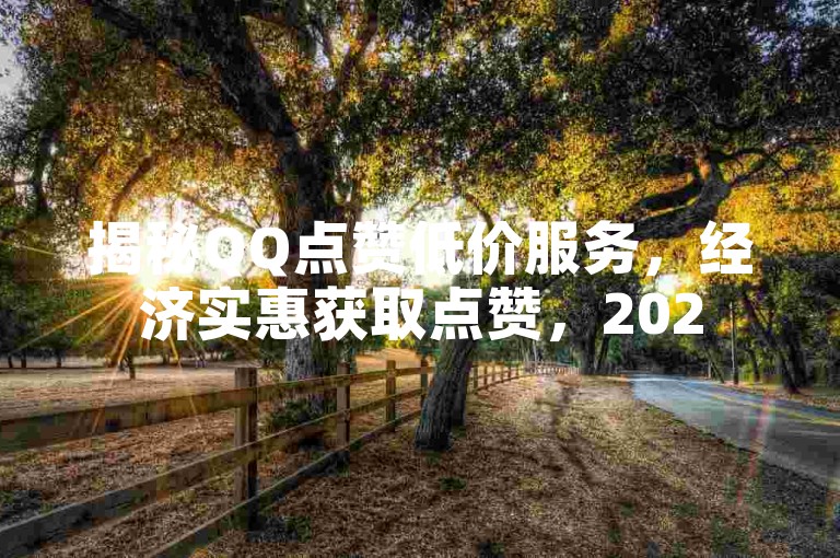 揭秘QQ点赞低价服务，经济实惠获取点赞，2025年必备技能！