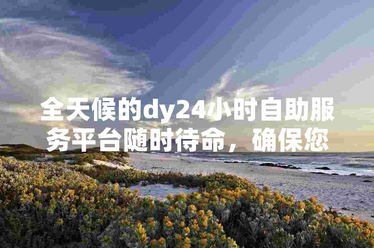 全天候的dy24小时自助服务平台随时待命，确保您能够轻松下单。