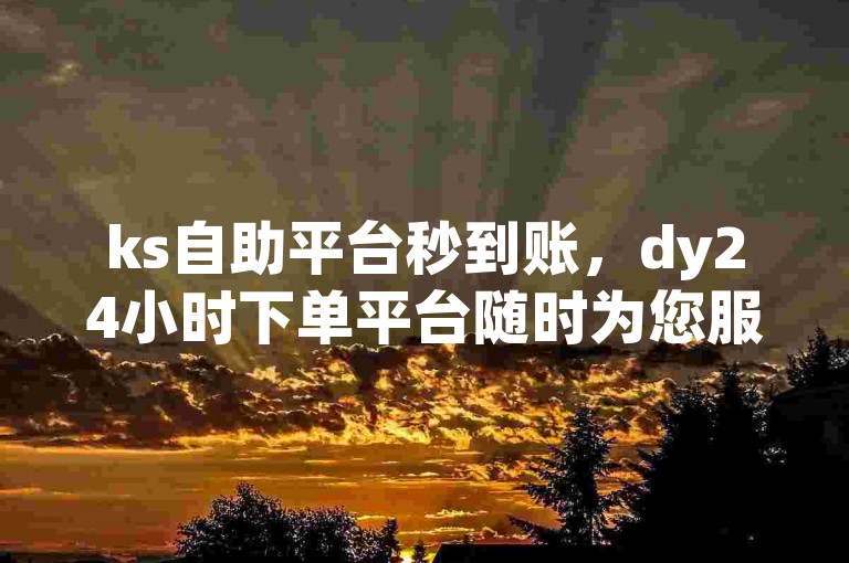 ks自助平台秒到账，dy24小时下单平台随时为您服务。