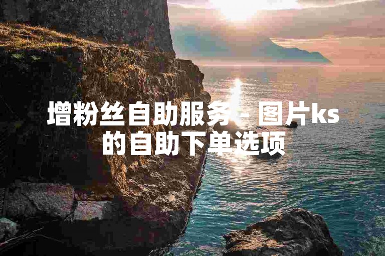 增粉丝自助服务 - 图片ks的自助下单选项