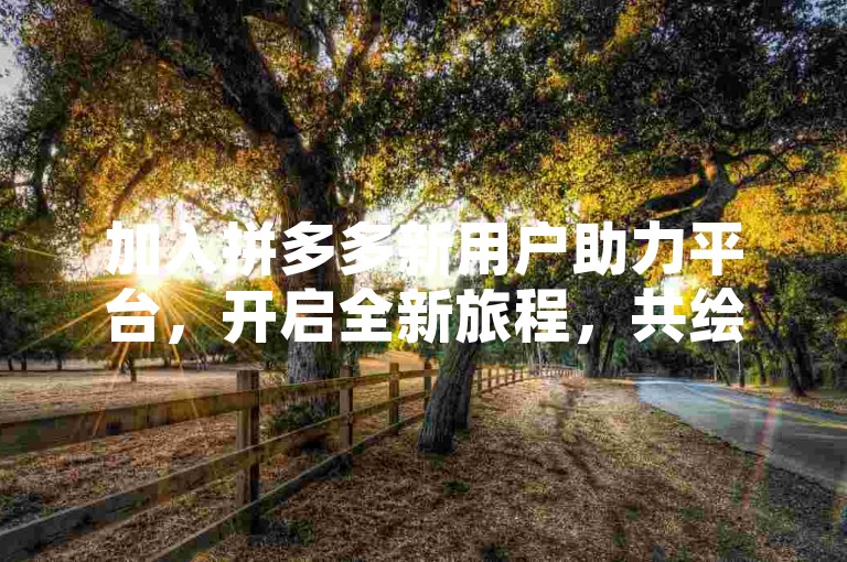 加入拼多多新用户助力平台，开启全新旅程，共绘美好未来。