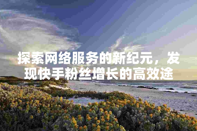 探索网络服务的新纪元，发现快手粉丝增长的高效途径，尽在全网最具性价比的代刷平台。