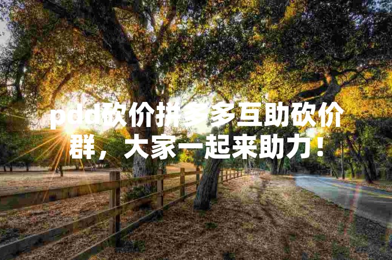 pdd砍价拼多多互助砍价群，大家一起来助力！