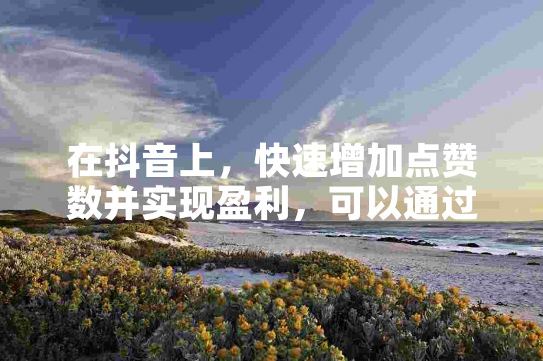 在抖音上，快速增加点赞数并实现盈利，可以通过专业的自助下单服务来实现。