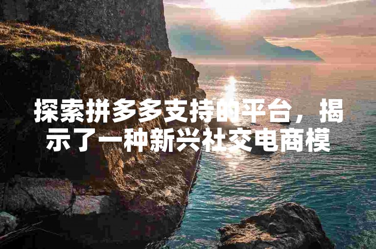 探索拼多多支持的平台，揭示了一种新兴社交电商模式的动力所在。