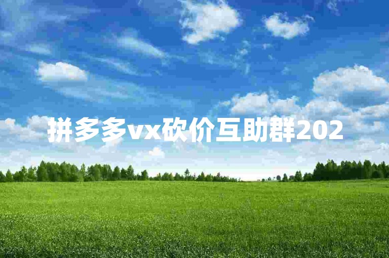 拼多多vx砍价互助群2025，一起助力享优惠！