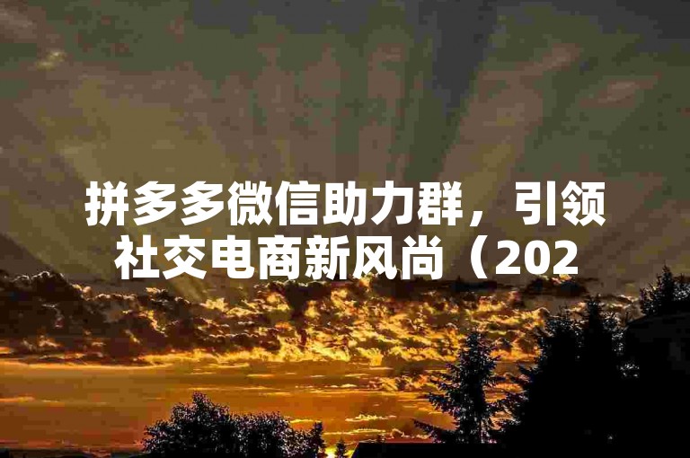 拼多多微信助力群，引领社交电商新风尚（2025前瞻）