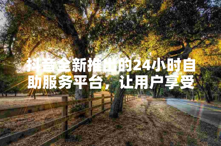 抖音全新推出的24小时自助服务平台，让用户享受全天候的免费服务，轻松上手，是新用户的不二之选！
