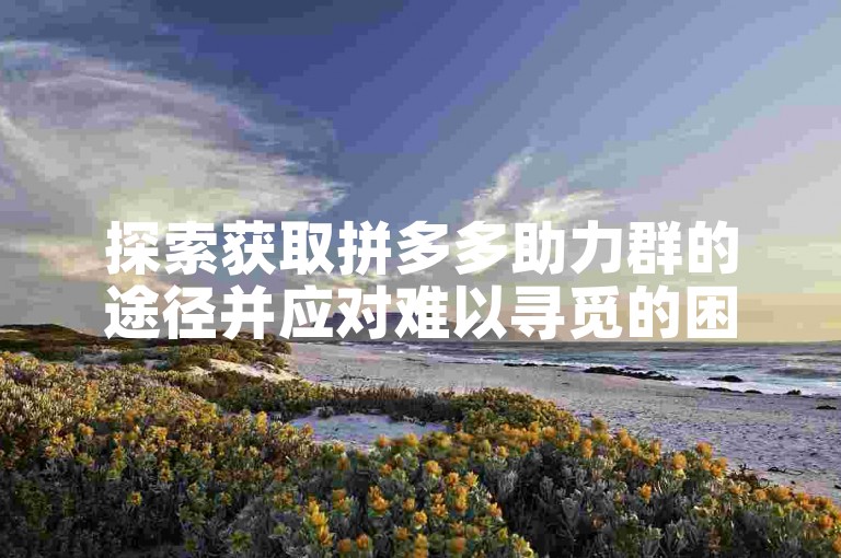 探索获取拼多多助力群的途径并应对难以寻觅的困境。