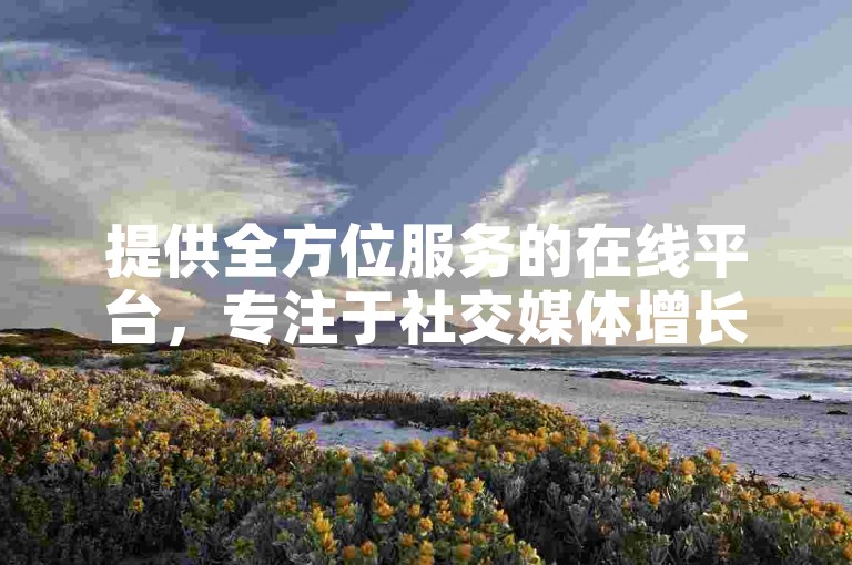 提供全方位服务的在线平台，专注于社交媒体增长和数字营销解决方案，确保用户以最优惠的价格获得高质量的服务体验。