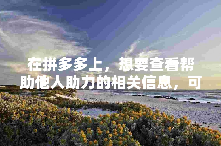 在拼多多上，想要查看帮助他人助力的相关信息，可以通过搜索pdd助力平台来找到对应的界面。