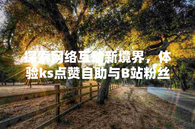 探索网络互动新境界，体验ks点赞自助与B站粉丝增长的便捷服务，尽在快手点赞自助平台及qq说说赞空间说说网站。