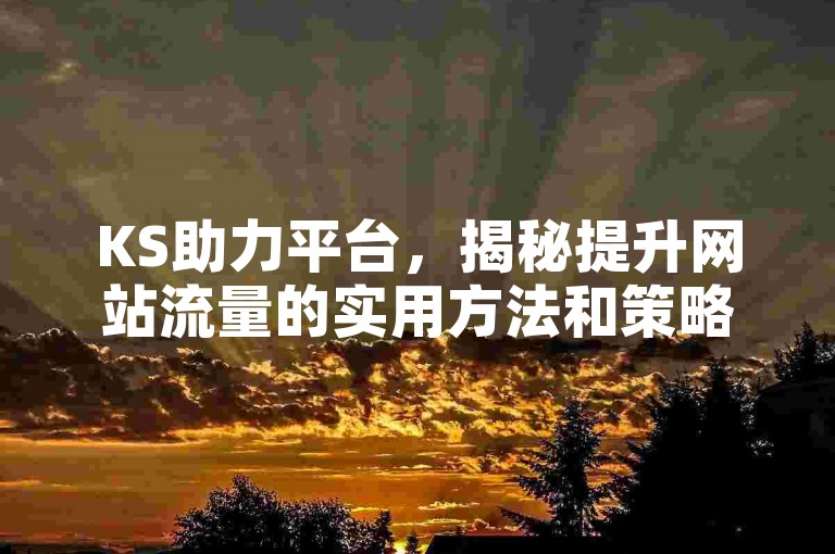 KS助力平台，揭秘提升网站流量的实用方法和策略分享。
