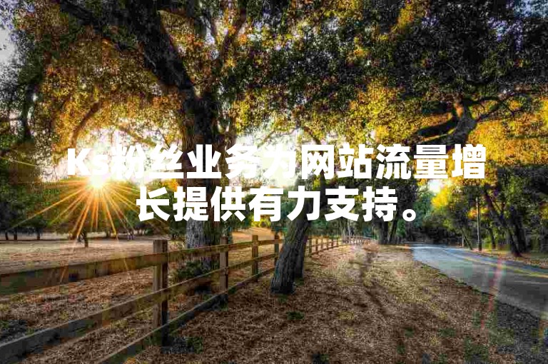 Ks粉丝业务为网站流量增长提供有力支持。