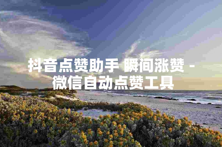 抖音点赞助手 瞬间涨赞 - 微信自动点赞工具