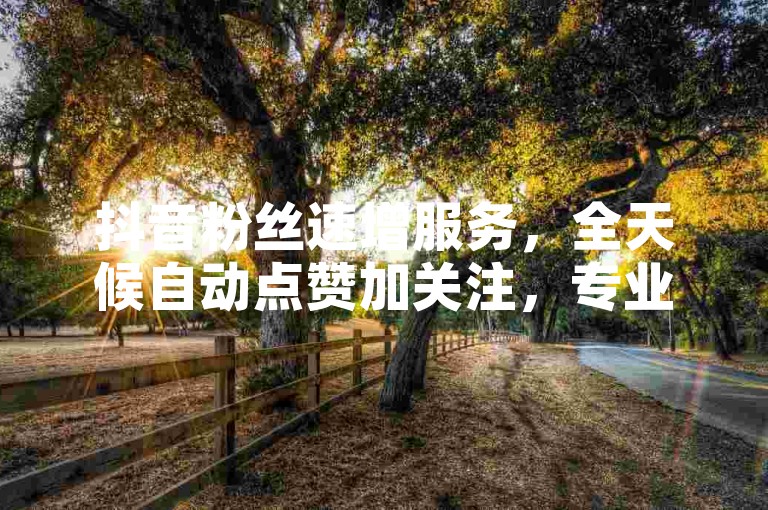 抖音粉丝速增服务，全天候自动点赞加关注，专业平台助力账号快速成长，无需等待即刻体验互联网黑科技的魅力。