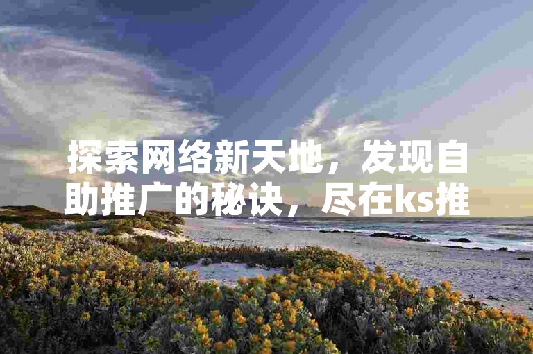 探索网络新天地，发现自助推广的秘诀，尽在ks推广自助网站，享受买快手号1w粉平台的便利。