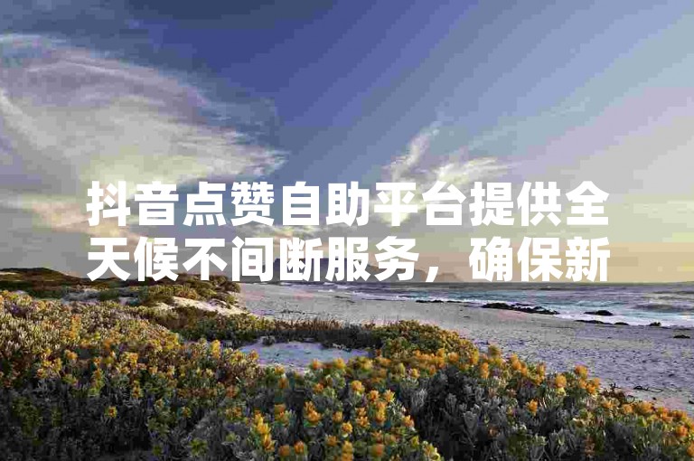 抖音点赞自助平台提供全天候不间断服务，确保新人轻松获得必要的支持和点赞。