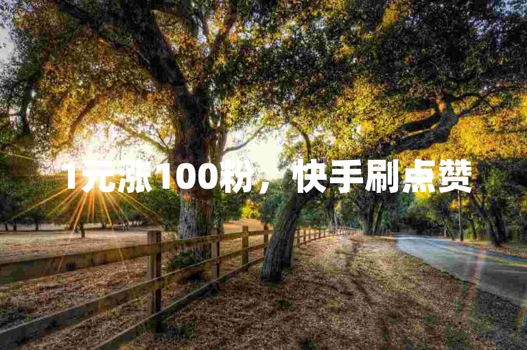 1元涨100粉，快手刷点赞520，抖音活粉。