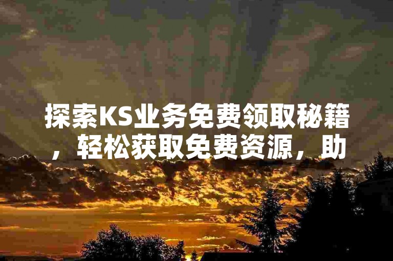 探索KS业务免费领取秘籍，轻松获取免费资源，助力您的业绩飙升！2024年必备技巧。