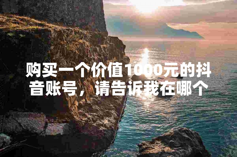 购买一个价值1000元的抖音账号，请告诉我在哪个应用程序中可以完成交易。
