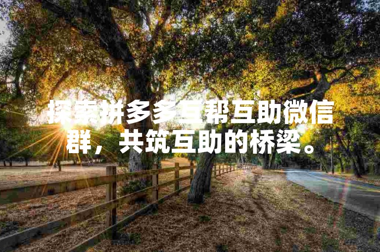探索拼多多互帮互助微信群，共筑互助的桥梁。