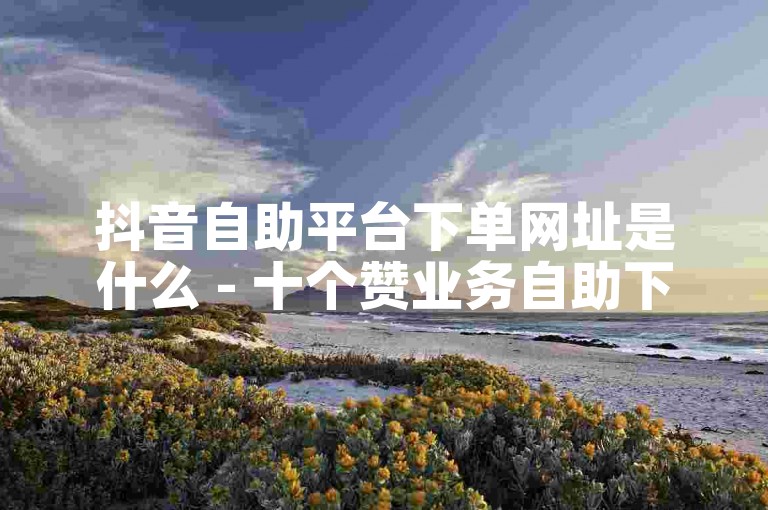 抖音自助平台下单网址是什么 - 十个赞业务自助下单平台