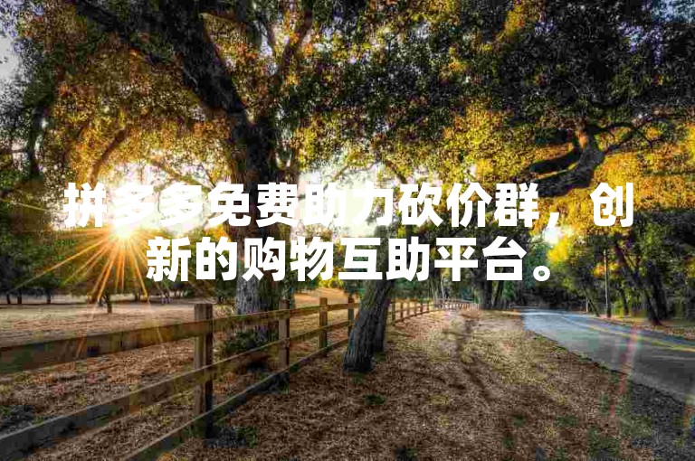 拼多多免费助力砍价群，创新的购物互助平台。