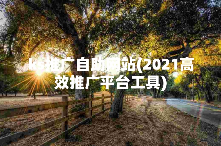 ks推广自助网站(2021高效推广平台工具)
