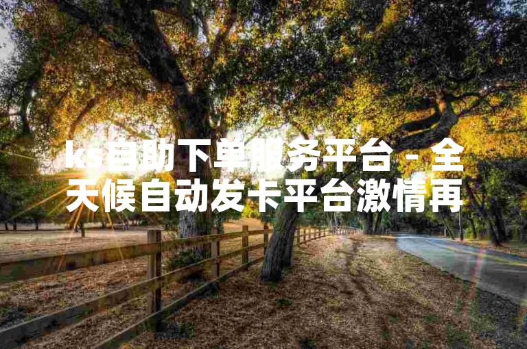 ks自助下单服务平台 - 全天候自动发卡平台激情再燃！
